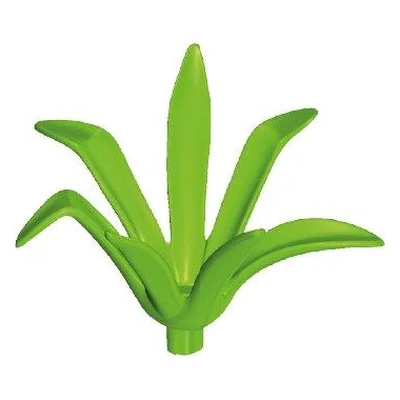 Agave-Blätter AussenII