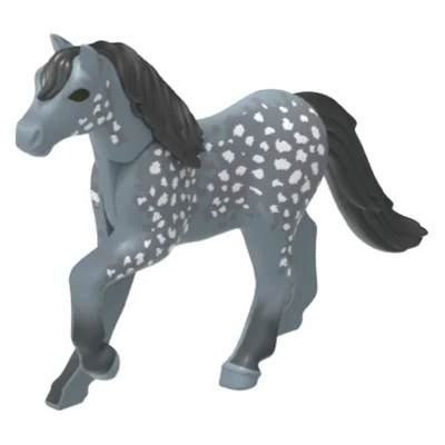 Pony 19