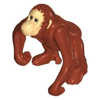Orang Utan weibl. II