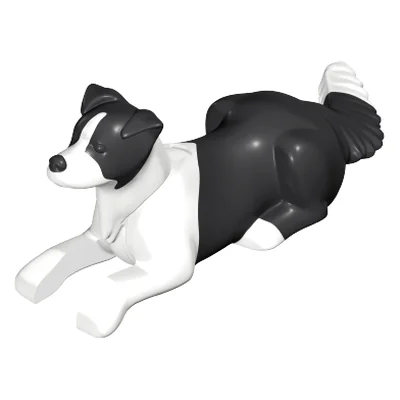Border-Collie liegend