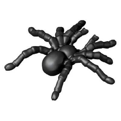 Spinne 23x22