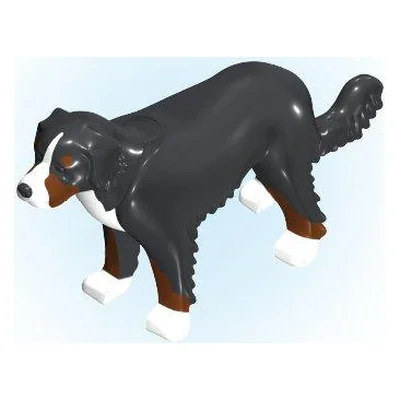 Sennenhund stehend