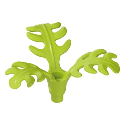 Pflanze-Gummibaum