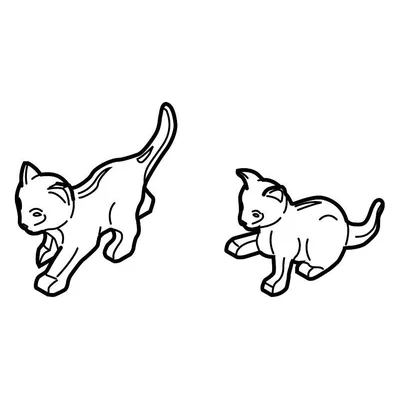 Katzenjunge