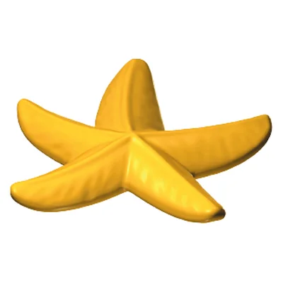 Seestern
