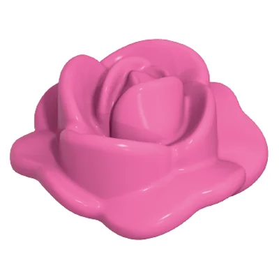 Rosenblüte offen