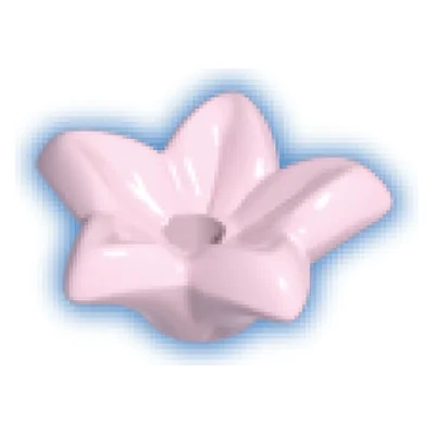 Blüte-Stern