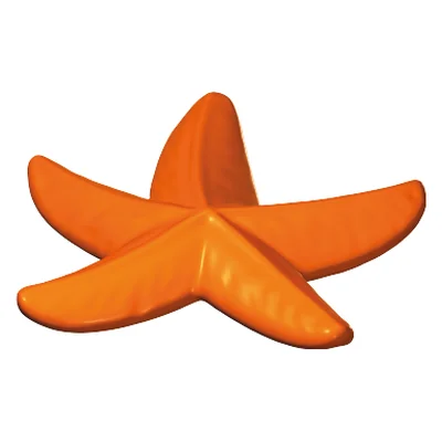 Seestern
