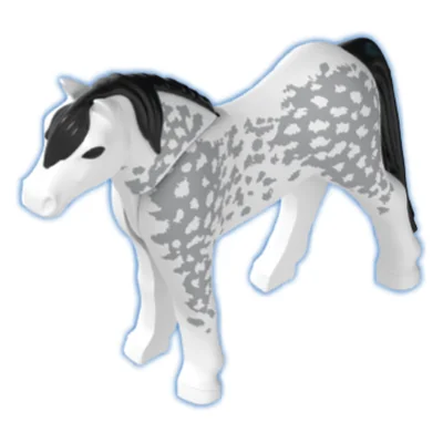 Pony 11