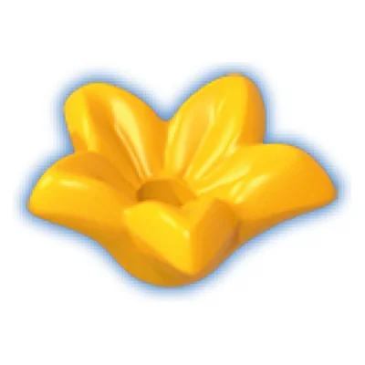 Blüte-Stern