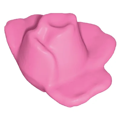 Rosenblüte halb offen