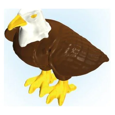 Seeadler Geschl. Flüge