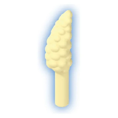 Blüte-Schachtelhalm