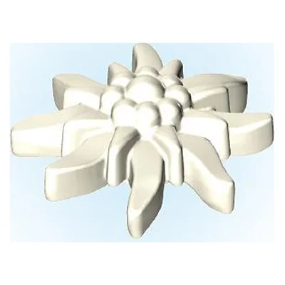 Blüte-Edelweiss