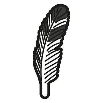 Feder-Kopfschmuck 1,6
