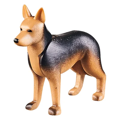 Schäferhund 11