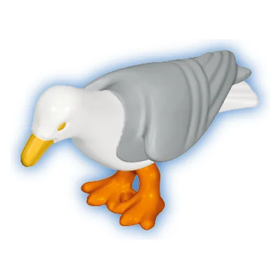 Möwe