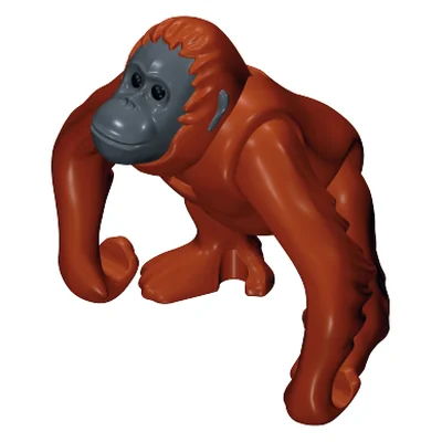 Orang Utan Weibl. II
