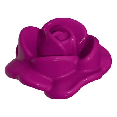 Rosenblüte offen