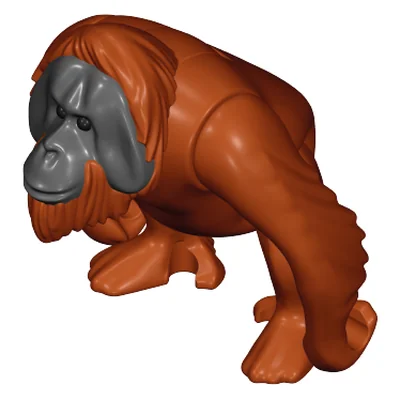 Orang Utan männl. II
