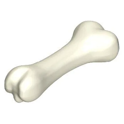 Knochen