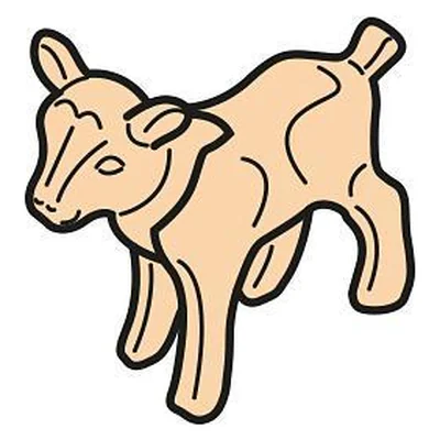 Ziegenjunges
