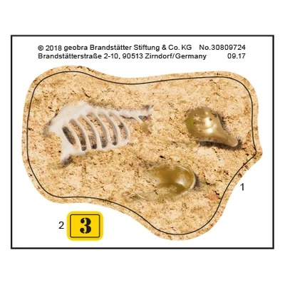 Etikett 9359 "Archäologische Ausgrabung"
