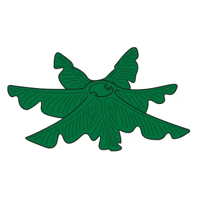 Astkranz 3-Tanne