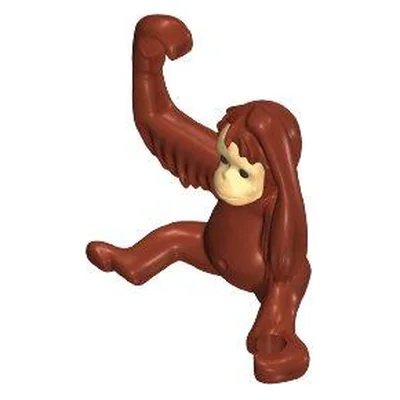 Orang Utan-Baby