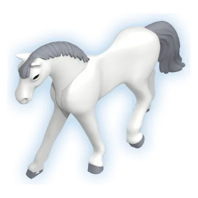 Pferd C-Appaloosa