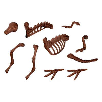 Dinoskelett II