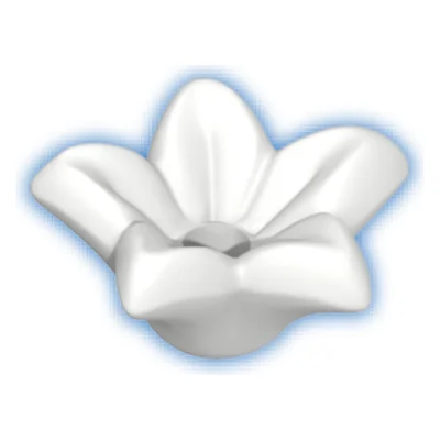 Blüte-Stern