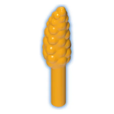 Blüte-Schachtelhalm