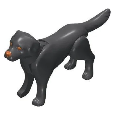 Labrador