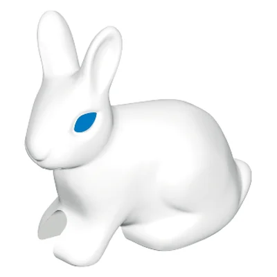 Hase 2010 sitzend