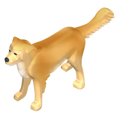 Retriever stehend