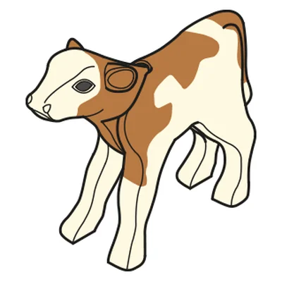 Kalb 1999