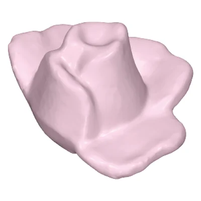 Rosenblüte halb offen