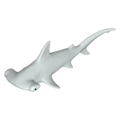 Hammerhai II