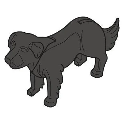 Neufundländer