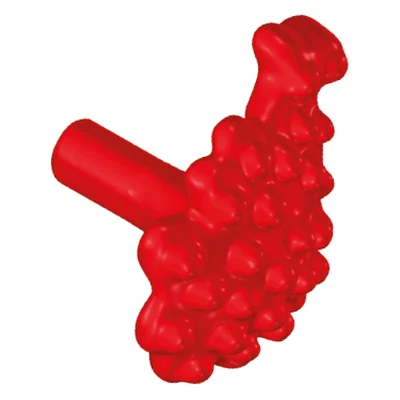 Beeren-Dolde